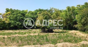 Къща/Вила, Младово, 682002, Снимка 3