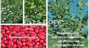 Земеделска земя, Горно Камарци, 553005, Снимка 6