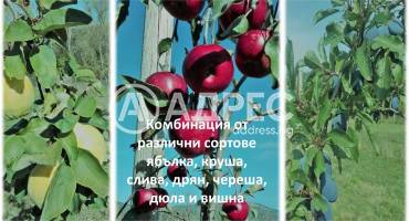 Земеделска земя, Горно Камарци, 553005, Снимка 7