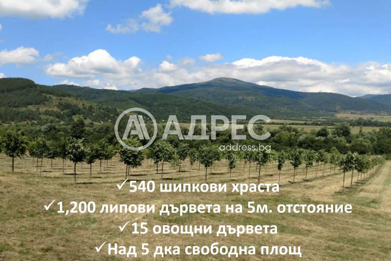 Земеделска земя, Горно Камарци, 553005, Снимка 4