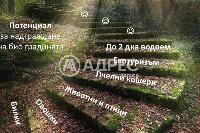 Земеделска земя, Горно Камарци, 553005, Снимка 8