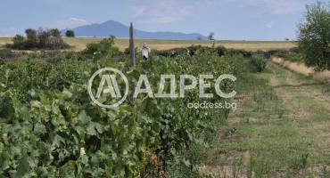 Земеделска земя, Бараково, 662005, Снимка 2