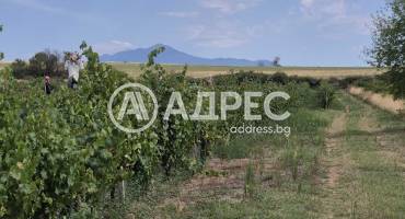 Земеделска земя, Бараково, 662005, Снимка 3