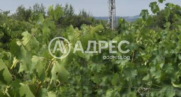 Земеделска земя, Бараково, 662005, Снимка 4