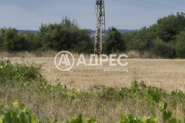 Земеделска земя, Бараково, 662005, Снимка 1