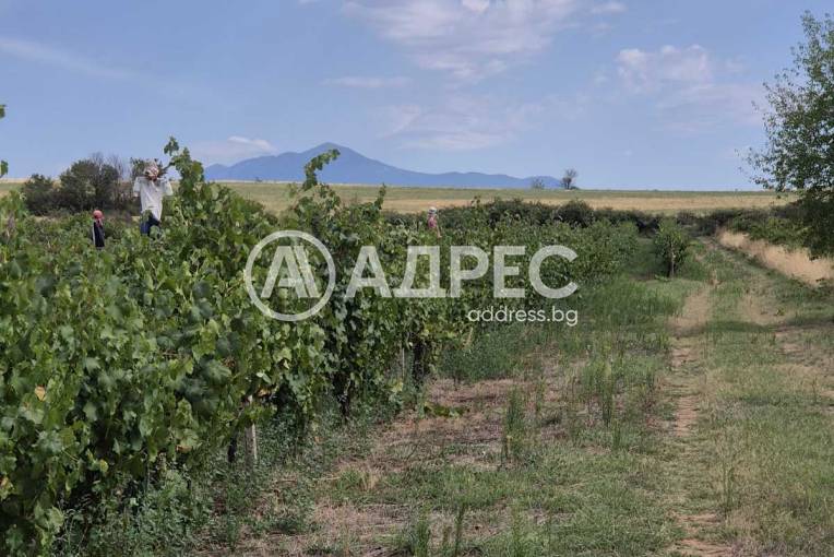 Земеделска земя, Бараково, 662005, Снимка 3