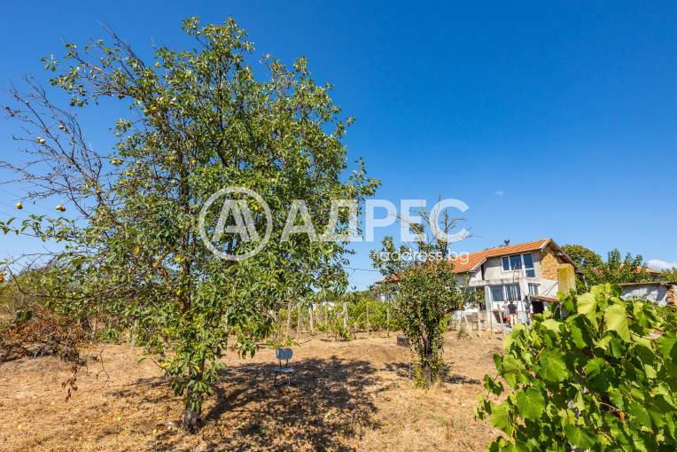 Къща/Вила, Близнаци, Мерлъци, 658006, Снимка 1