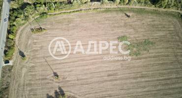 Парцел/Терен, Игнатиево, 663009, Снимка 1