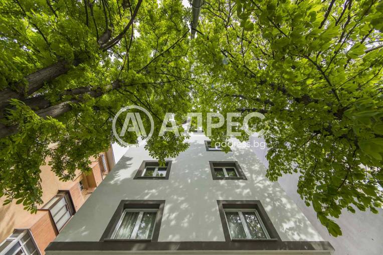 Многостаен апартамент, София, Център, 653014, Снимка 12