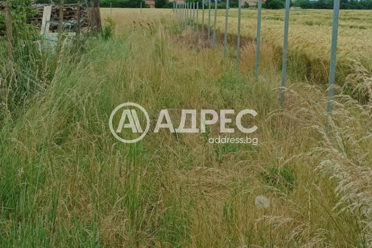 Парцел/Терен, Голяновци, 678014, Снимка 3