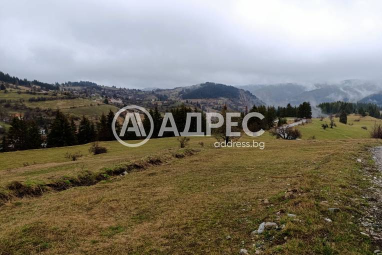 Парцел/Терен, Гела, 660015, Снимка 4