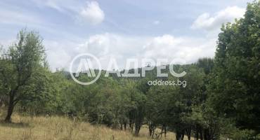 Къща/Вила, Боринци, 660017, Снимка 2