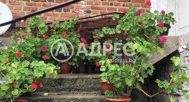 Къща/Вила, Поляна, 676021, Снимка 19