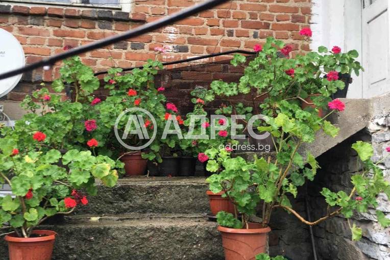 Къща/Вила, Поляна, 676021, Снимка 19