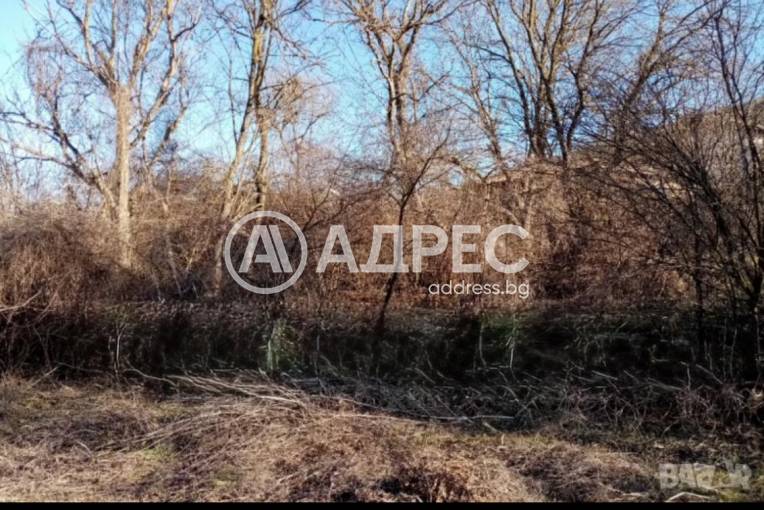 Парцел/Терен, Шемшево, 663025, Снимка 2