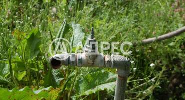 Къща/Вила, Лесово, 460029, Снимка 11