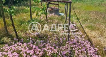 Къща/Вила, Могила, 642029, Снимка 19