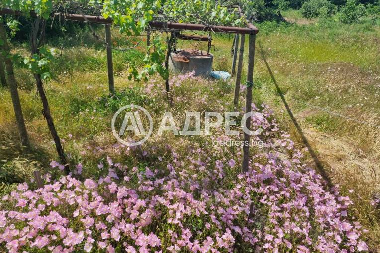 Къща/Вила, Могила, 642029, Снимка 19