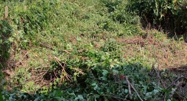 Къща/Вила, Миндя, 594032, Снимка 29