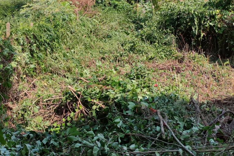 Къща/Вила, Миндя, 594032, Снимка 29