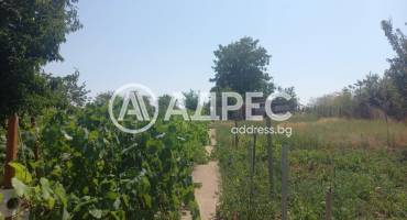 Къща/Вила, Кремена, 661033, Снимка 11