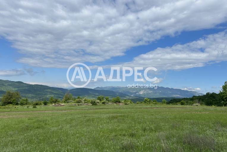 Парцел/Терен, Типченица, 701045, Снимка 1