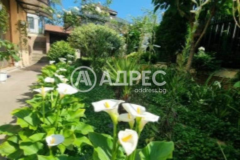 Тристаен апартамент, Варна, Галата, 685047, Снимка 43