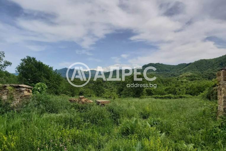 Парцел/Терен, Троян, Христо Цонковци, 699051, Снимка 3
