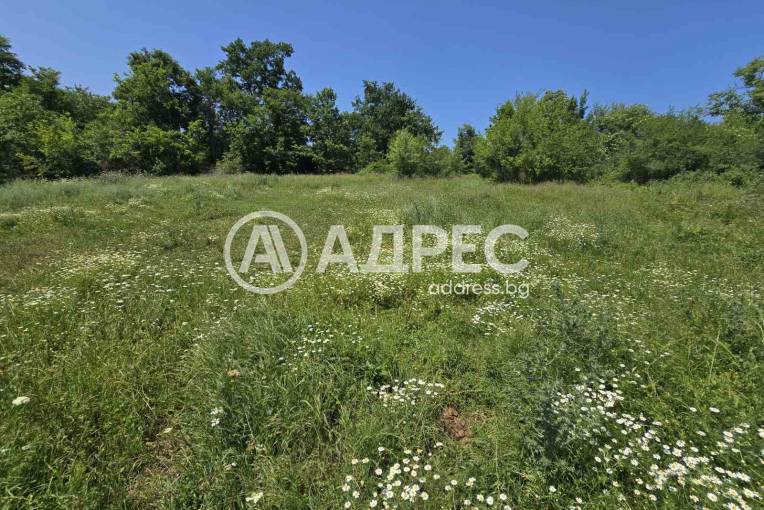 Парцел/Терен, Юнец, 658055, Снимка 3