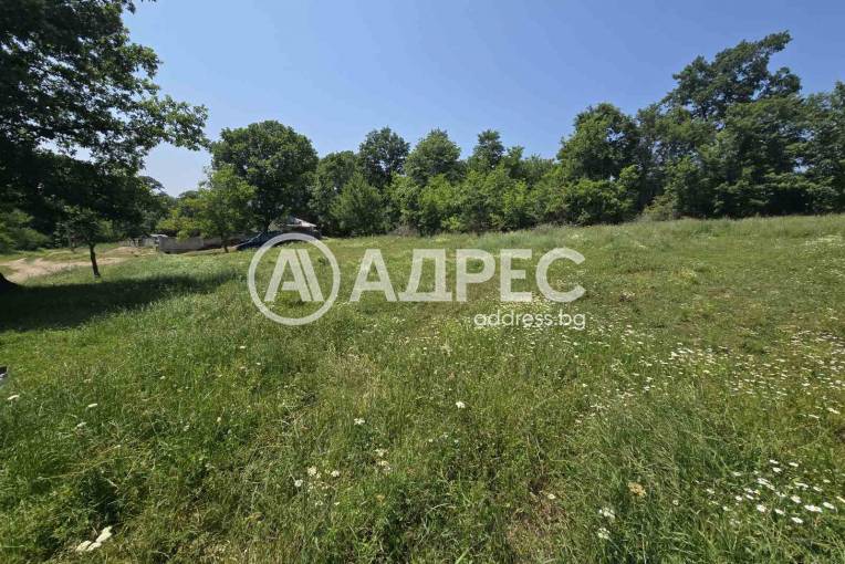 Парцел/Терен, Юнец, 658055, Снимка 5