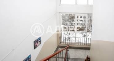 Двустаен апартамент, София, Борово, 663055, Снимка 4