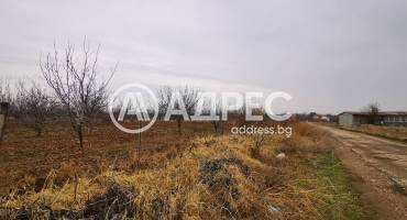 Земеделска земя, Чешнегирово, 604056, Снимка 1
