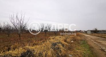 Земеделска земя, Чешнегирово, 604056, Снимка 4
