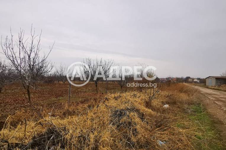 Земеделска земя, Чешнегирово, 604056, Снимка 1