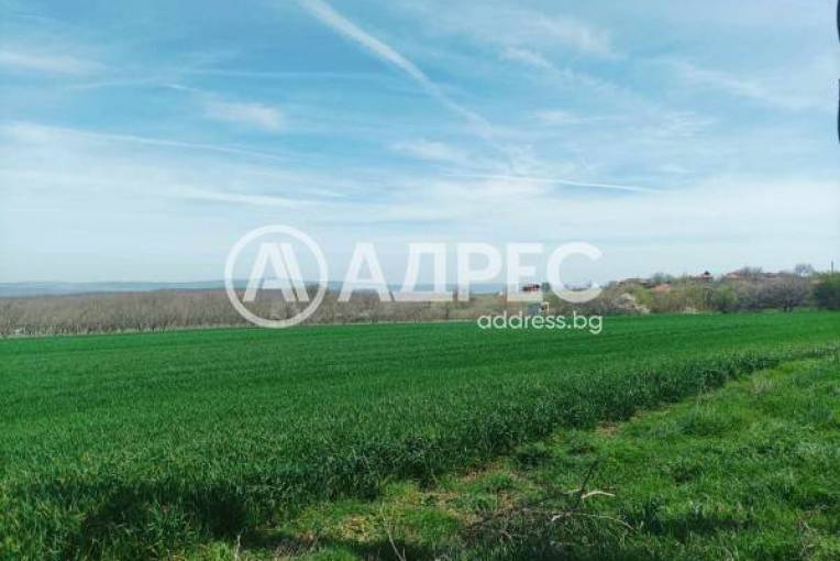 Парцел/Терен, Бата, 623064, Снимка 5