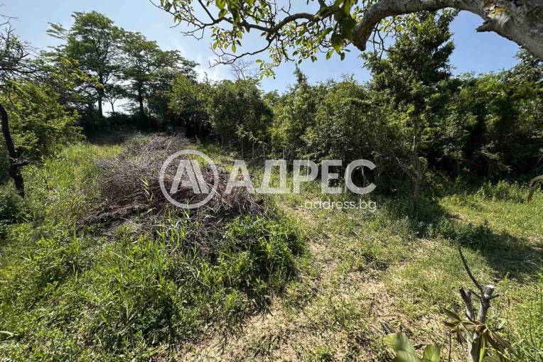 Парцел/Терен, Варна, м-ст Боровец - юг, 688064, Снимка 1