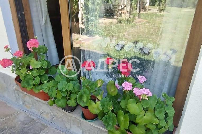 Хотел/Мотел, Рибарица, 671069, Снимка 10