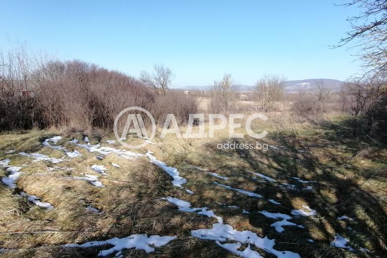 Парцел/Терен, Зайчино ореше, 642070, Снимка 3