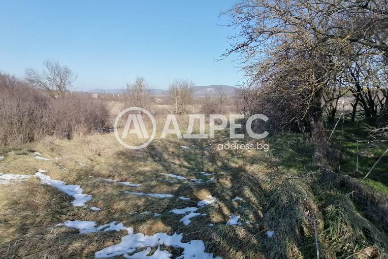 Парцел/Терен, Зайчино ореше, 642070, Снимка 4