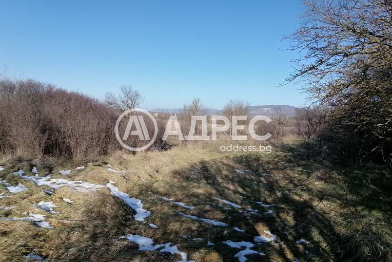 Парцел/Терен, Зайчино ореше, 642070, Снимка 5