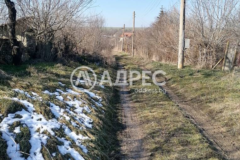 Парцел/Терен, Зайчино ореше, 642070, Снимка 6