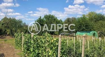 Парцел/Терен, Добрич, в. з. Гаазибаба, 664070, Снимка 8