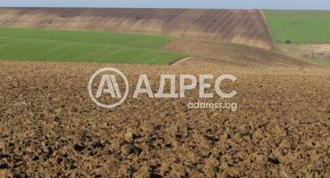 Земеделска земя, Войводиново, 647073, Снимка 1