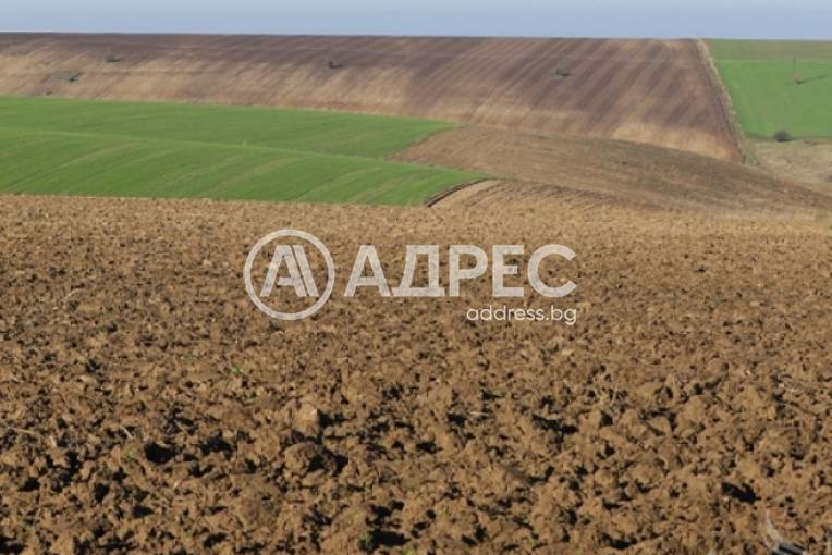 Земеделска земя, Войводиново, 647073, Снимка 1