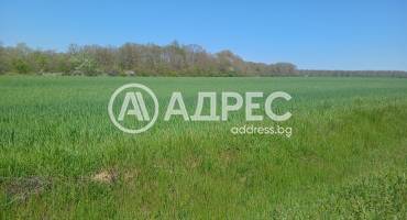 Парцел/Терен, Шкорпиловци, 691076, Снимка 1