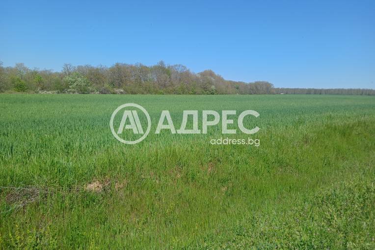 Парцел/Терен, Шкорпиловци, 691076, Снимка 1