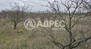 Парцел/Терен, Осеново, 682079, Снимка 3