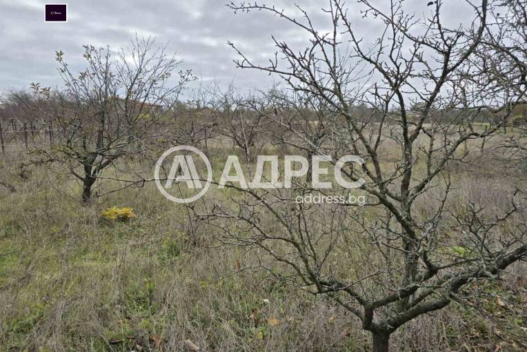 Парцел/Терен, Осеново, 682079, Снимка 3