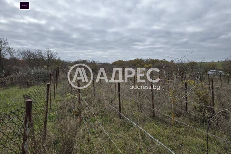 Парцел/Терен, Осеново, 682079, Снимка 5