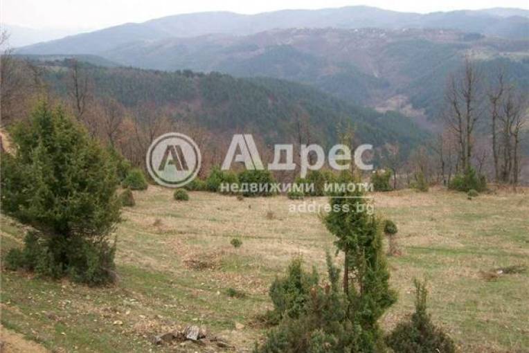 Земеделска земя, Горно Хърсово, 152082, Снимка 3